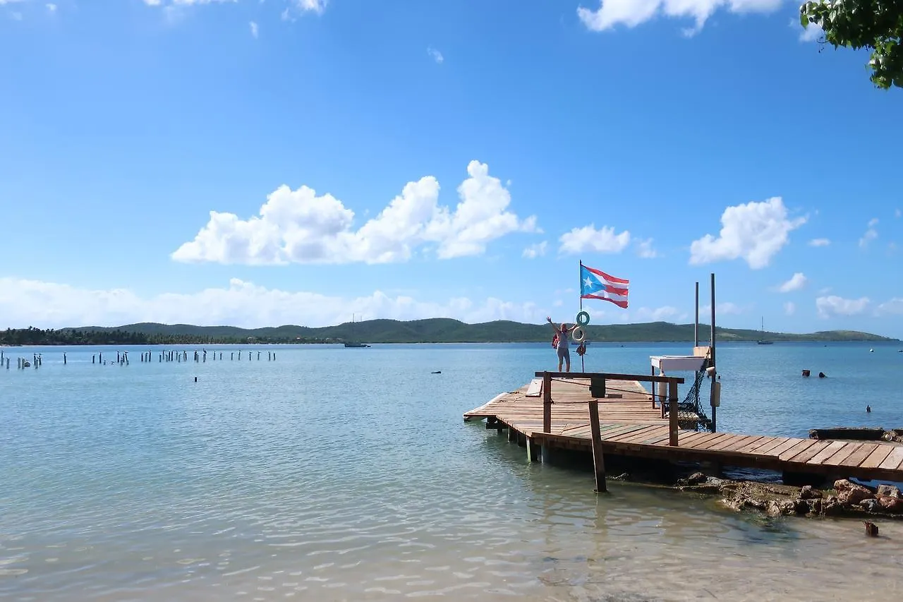 **** Otel Boho Beach Club Boqueron Porto Riko